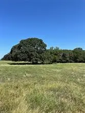 TBD Cr 2150, Telephone, TX 75488 - #2