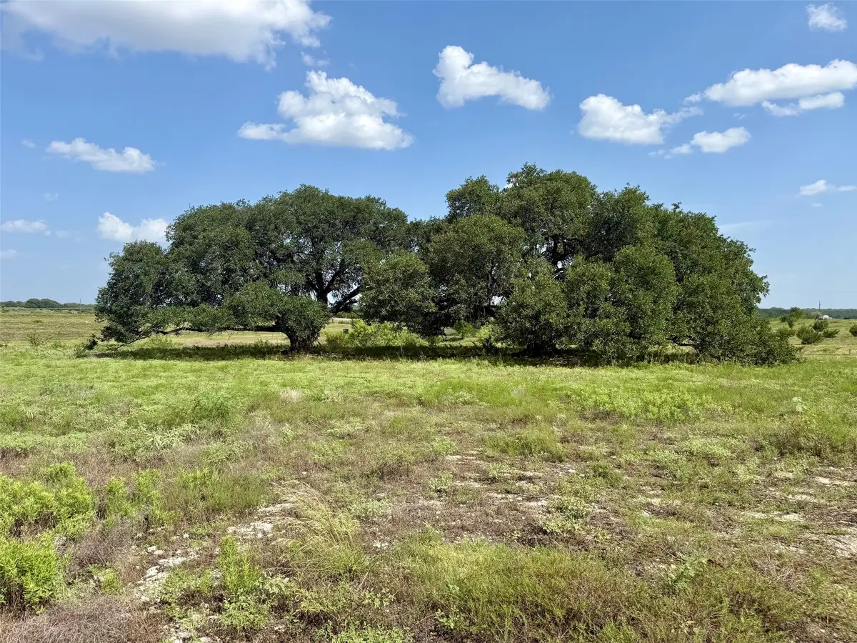 13AC Tbd Pr Fm 2905, Hamilton, TX 76531 - #1