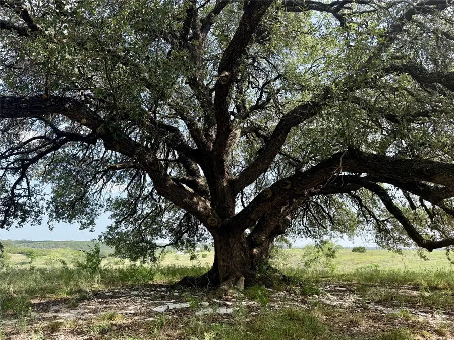 13AC Tbd Pr Fm 2905, Hamilton, TX 76531 - #3