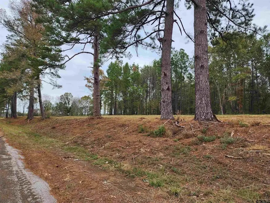 14470 Cr-363, Winona, TX 75792 - #3