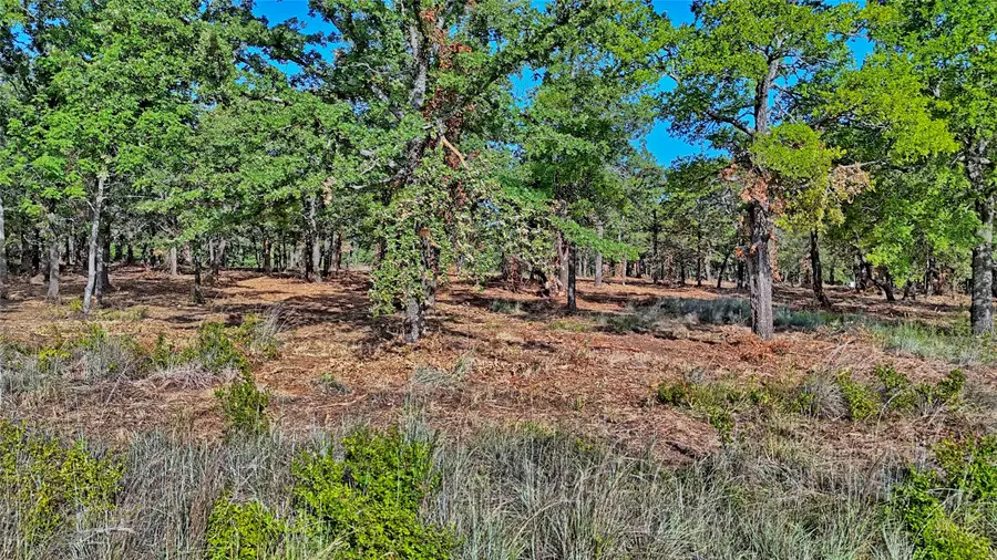 Lots 352-354 Preserve Court, Sunset, TX 76270 - #2