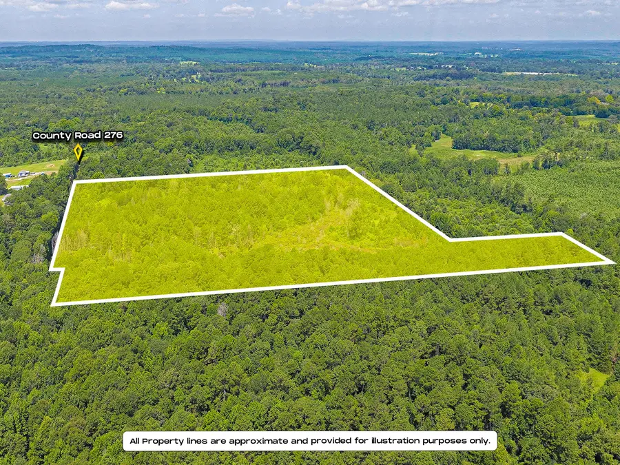 TBD County Road 276, Nacogdoches, TX 75961 - #2