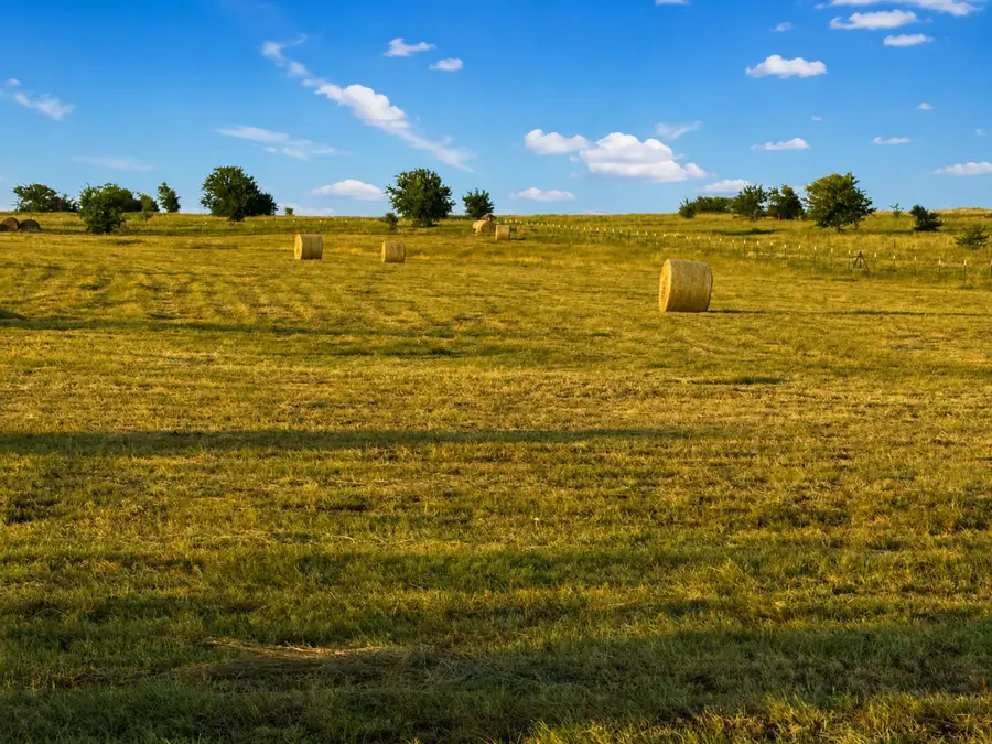 TBD County Road 2625, Decatur, TX 76234 - #2