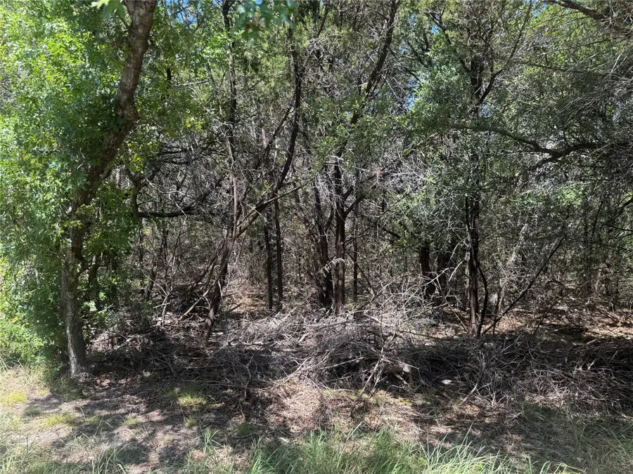 1516 S Chisholm Trail, Granbury, TX 76048 - #3
