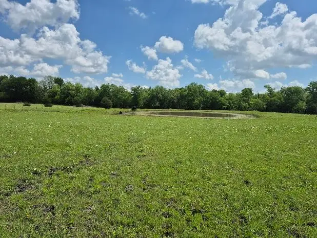 9561 N Tx-50 Highway, Ladonia, TX 75449 - #2