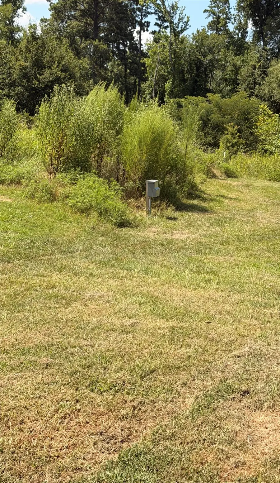 14696 Pecan Road, Keithville, LA 71047 - #3