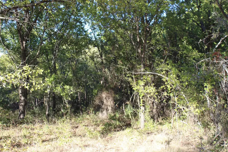 000 Eureka School Road, Nocona, TX 76255 - #2