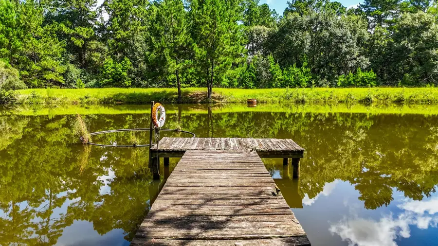 19359 Forest Road 219, Richards, TX 77873 - #3