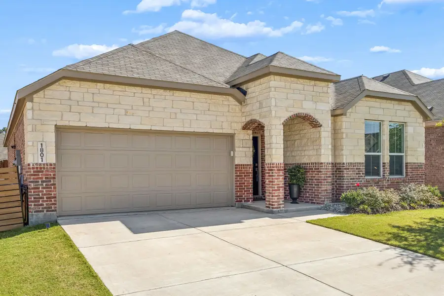 1801 Rubber Fig Lane, McKinney, TX 75071 - #3