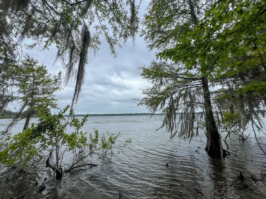 14 Arledge Trail/off Gateway Meadows, Hemphill, TX 75948 - #3