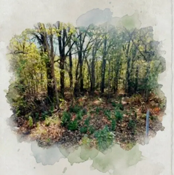 207 Acres Loop, Gun Barrel City, TX 75156 - #1