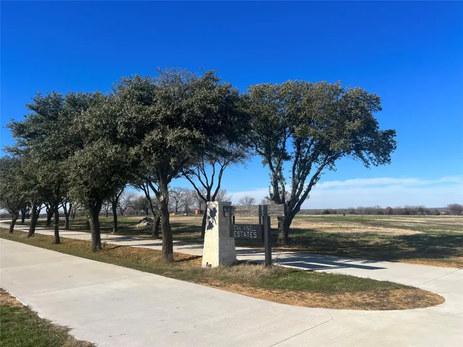 Lot 9 Block B Lilly Way, Tioga, TX 76271 - #3
