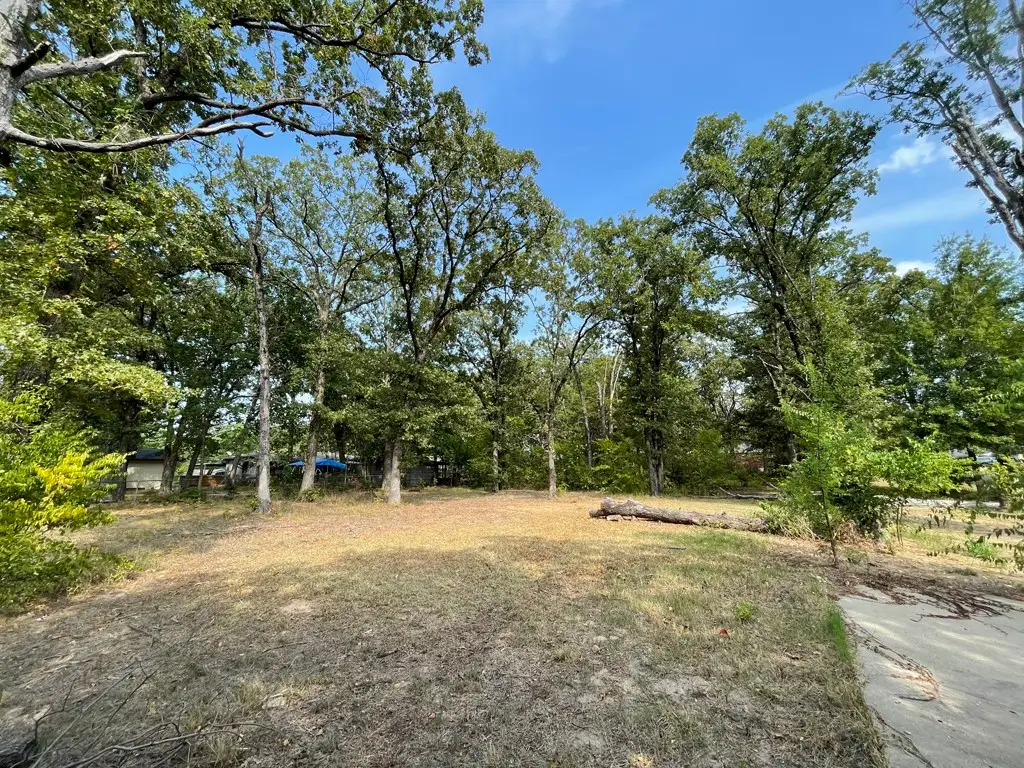 1353 Shady Lane, Canton, TX 75103 - #1