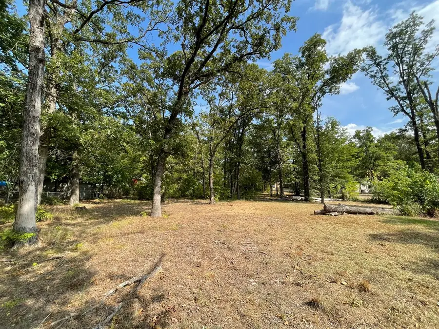 1353 Shady Lane, Canton, TX 75103 - #2