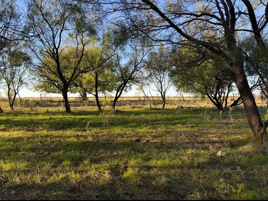 2241 Schlegel Road, Olney, TX 76374 - #3