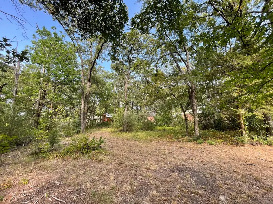 LOT # 18 Shady Lane, Canton, TX 75103 - #3