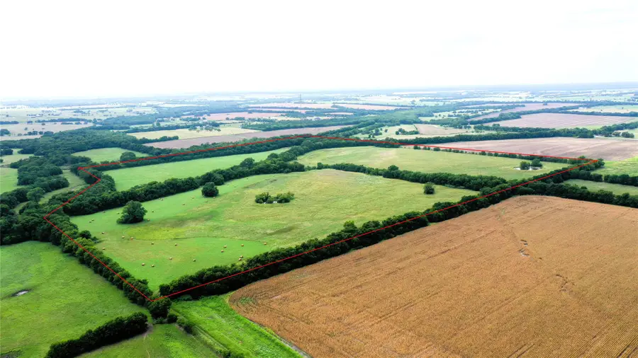 TBD Cr 1055 Road, Celeste, TX 75423 - #2