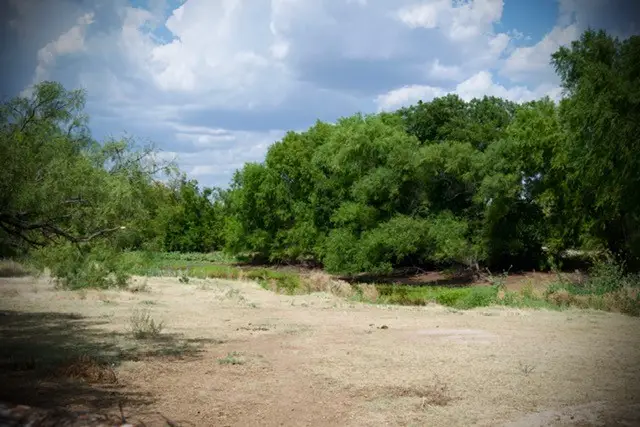345 Butler Loop, Graham, TX 76450 - #3
