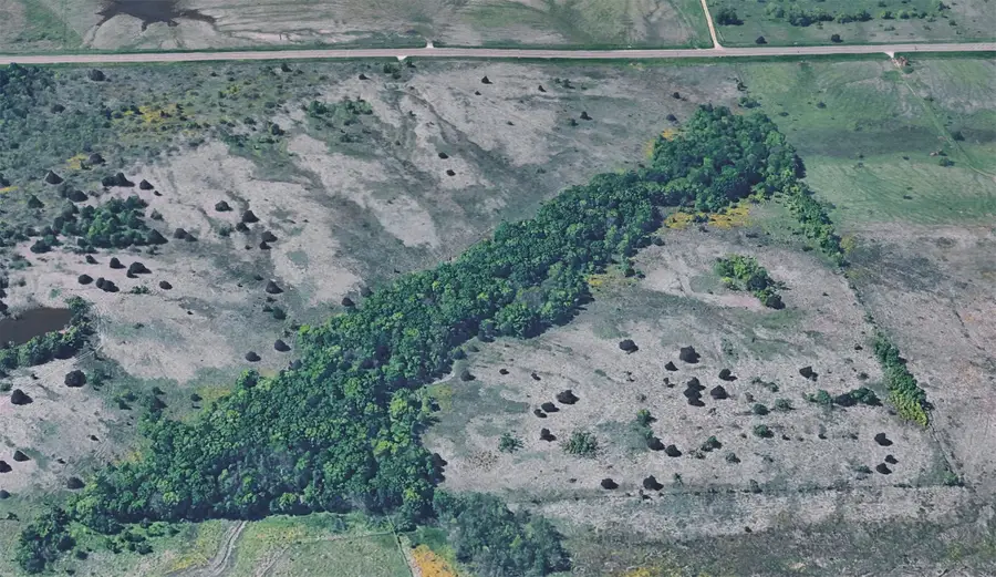Lot 2 Fm-85, Ennis, TX 75119 - #3