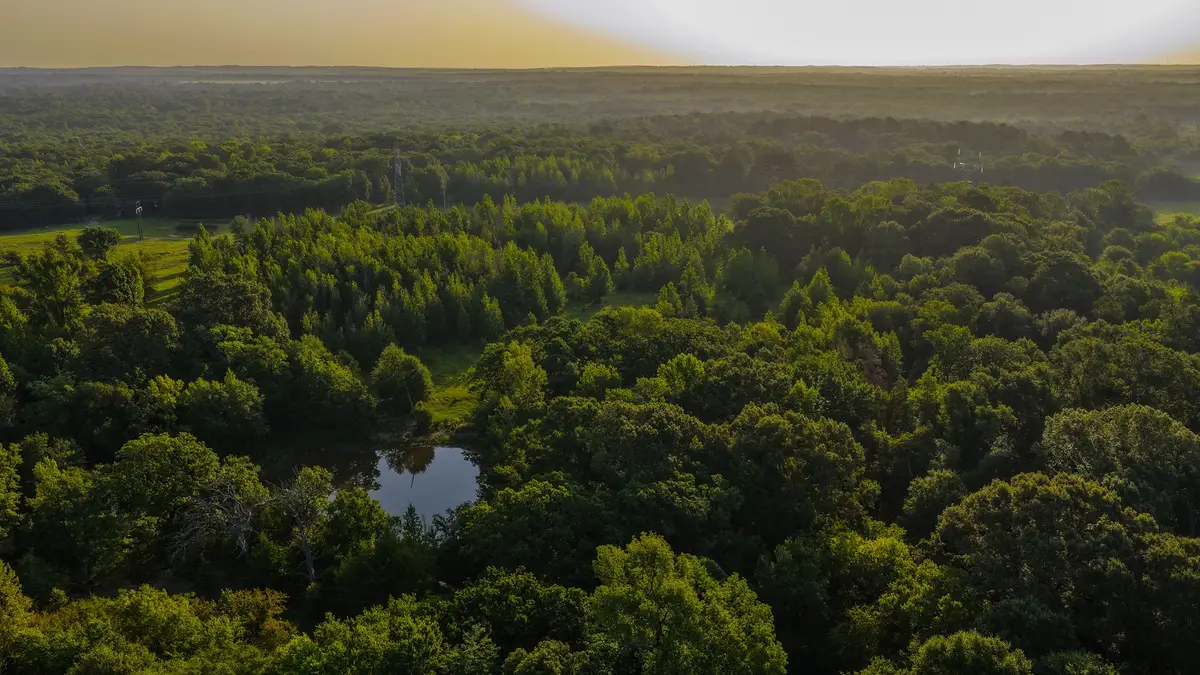0000 Vz County Road 4912, Ben Wheeler, TX 75754 - #1