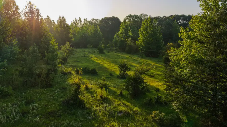 0000 Vz County Road 4912, Ben Wheeler, TX 75754 - #2