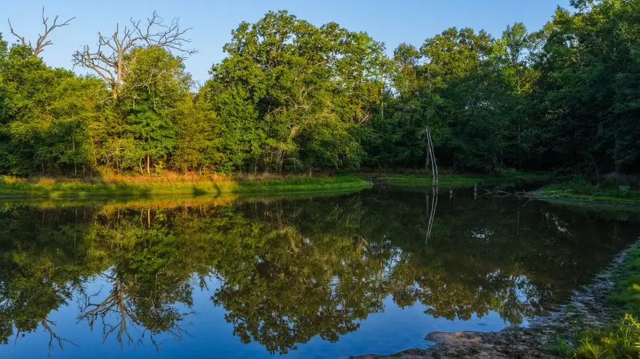 0000 Vz County Road 4912, Ben Wheeler, TX 75754 - #3