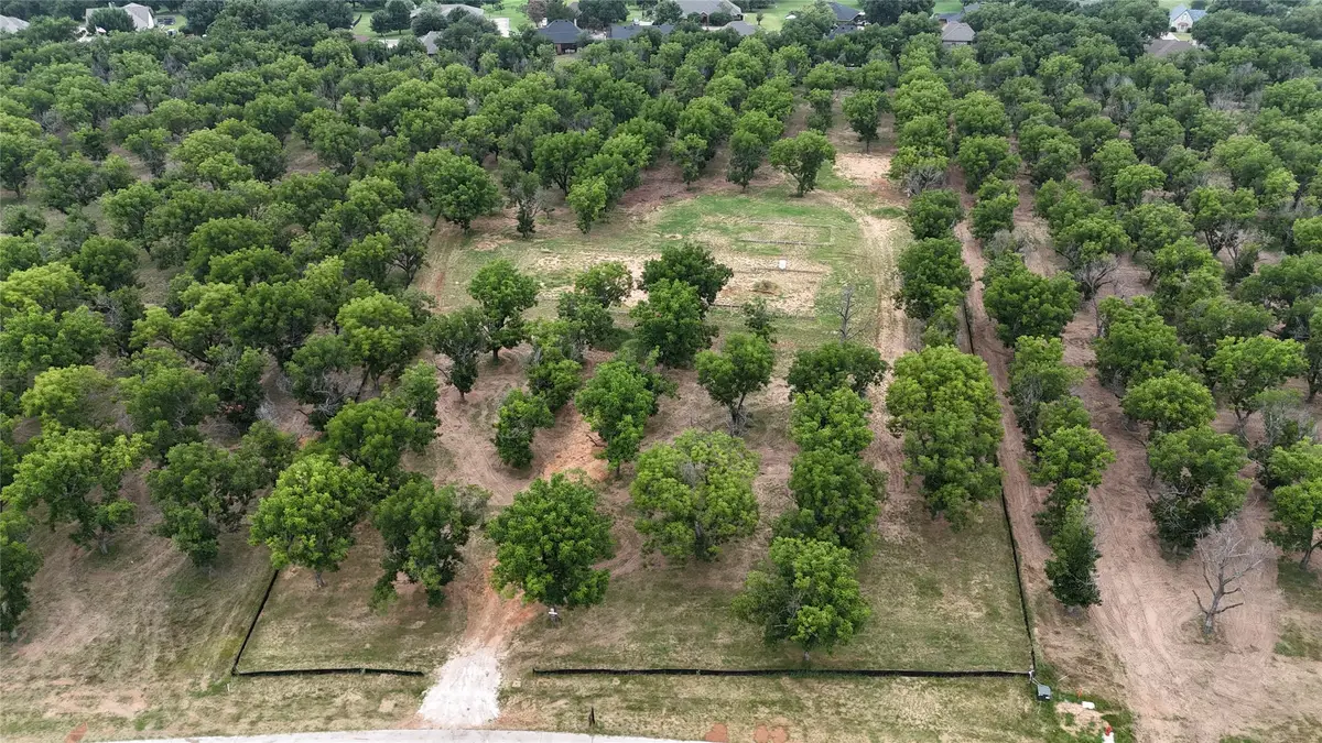 3177 E Landings S, Granbury, TX 76048 - #1