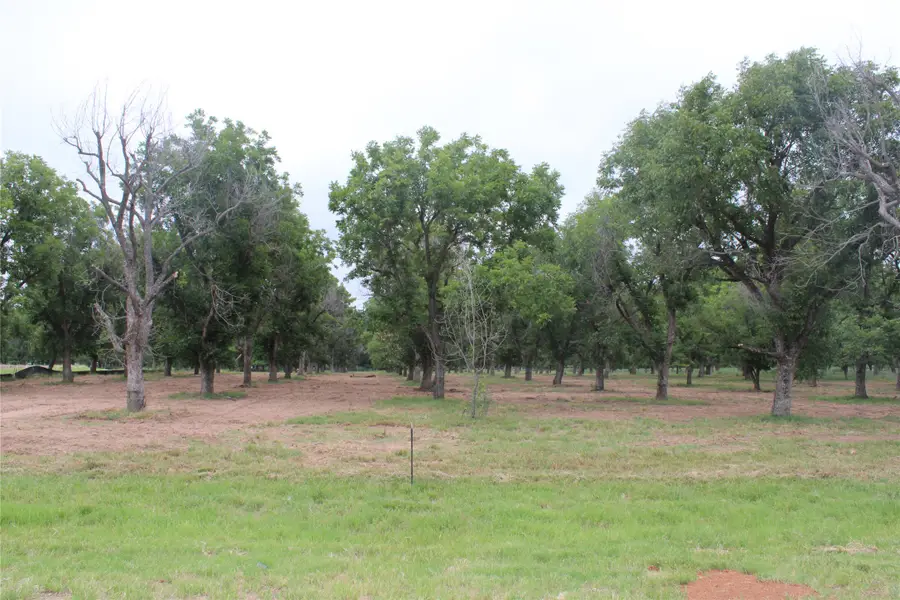3173 E Landings S, Granbury, TX 76049 - #2
