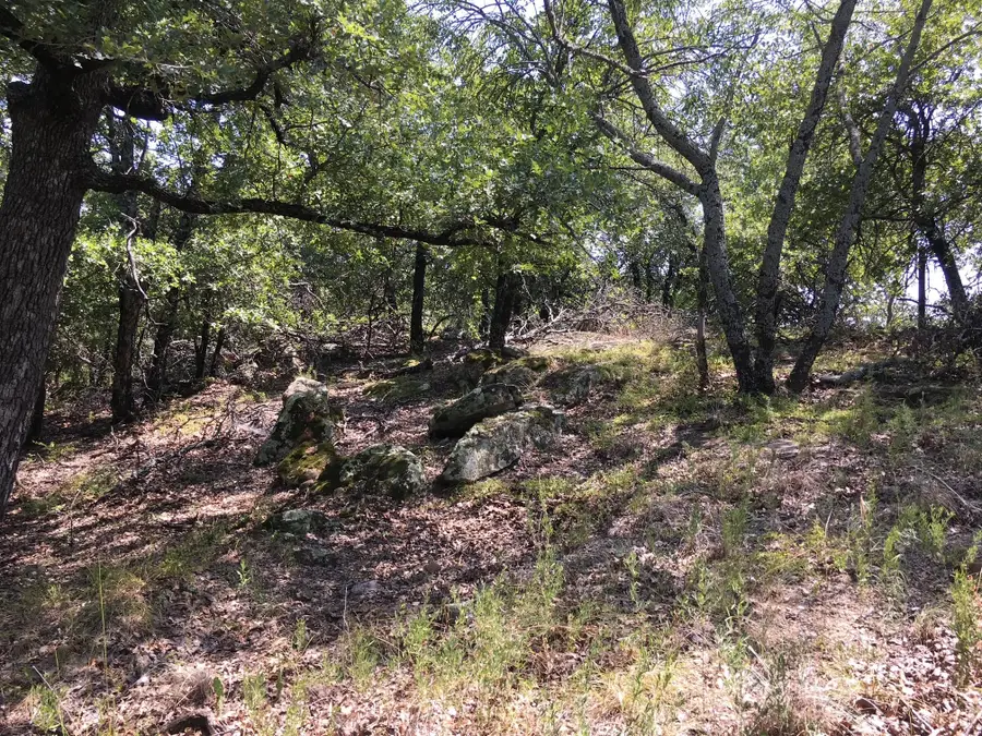 Lot 457 Lakeside Drive, Bowie, TX 76230 - #2