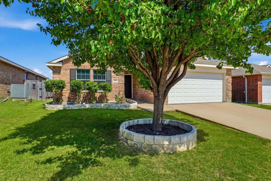 652 Lincoln Avenue, Lavon, TX 75166 - #3