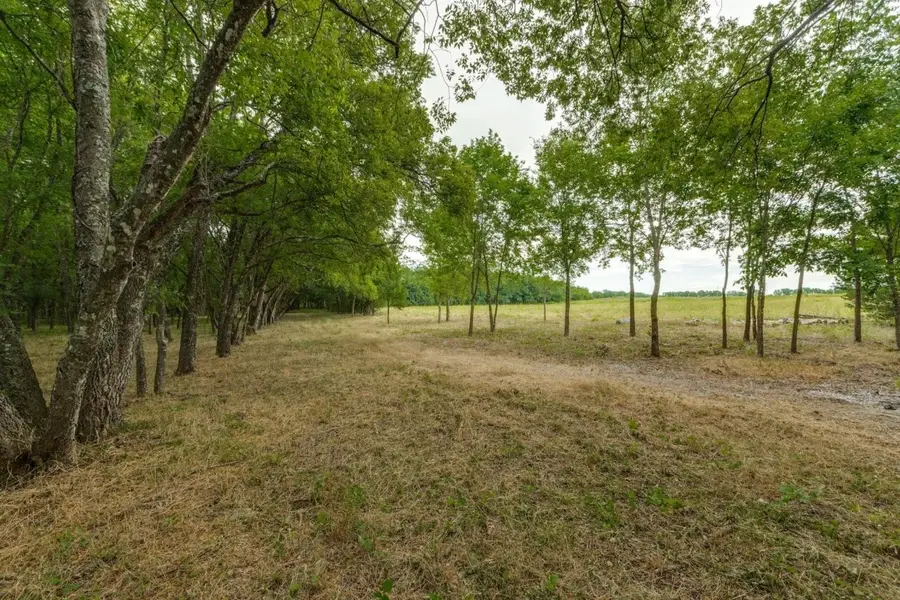 3805 County Rd, Wolfe City, TX 75496 - #2