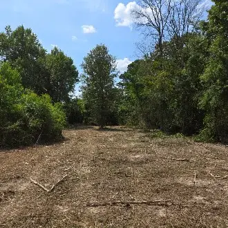 01 Percy Burns Road, Springhill, LA 71075 - #1