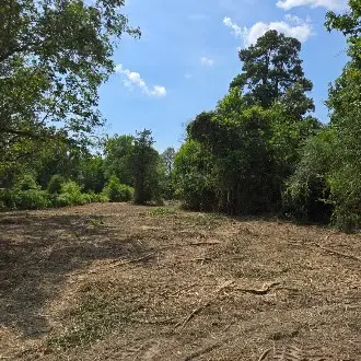 01 Percy Burns Road, Springhill, LA 71075 - #2