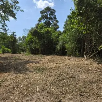01 Percy Burns Road, Springhill, LA 71075 - #3