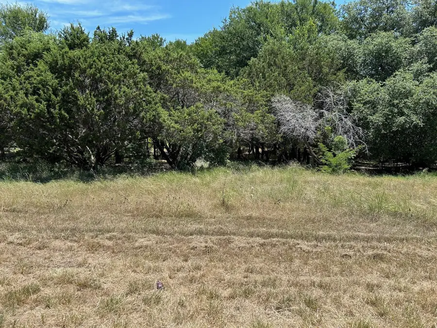 13002 Crestwood Drive, Whitney, TX 76692 - #3