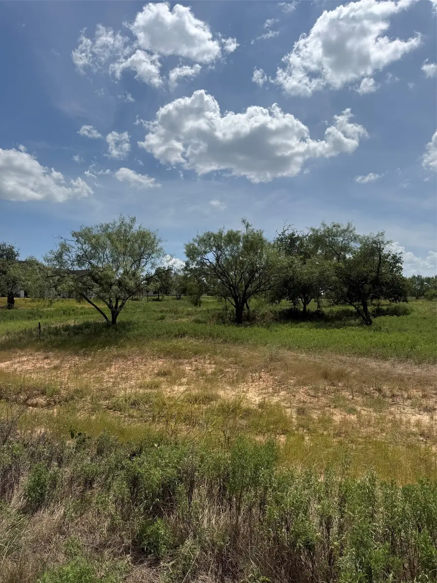 3001 Wyatts Way, Weatherford, TX 76087 - #3
