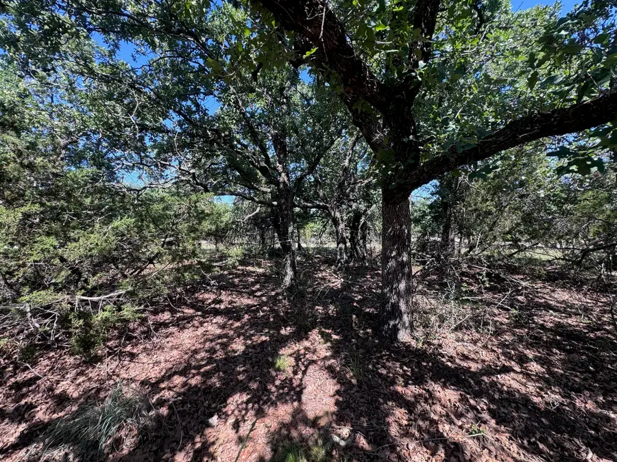 A10 Glenhollow Drive, Gordon, TX 76453 - #2