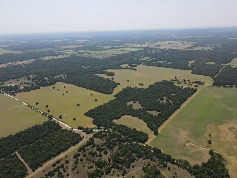 TBD 168 Acres Fm 1956, Saint Jo, TX 76265 - #1