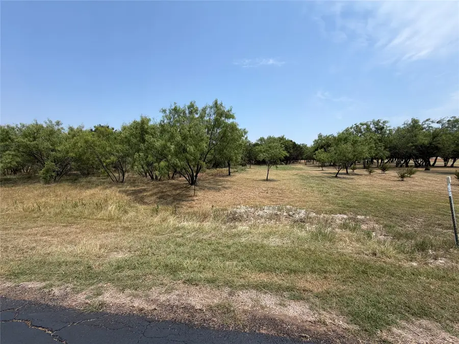 1260 Sparrow Court, Graford, TX 76449 - #3