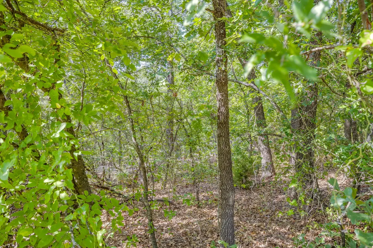 1125 Crazy Horse Trail, Burleson, TX 76028 - #1