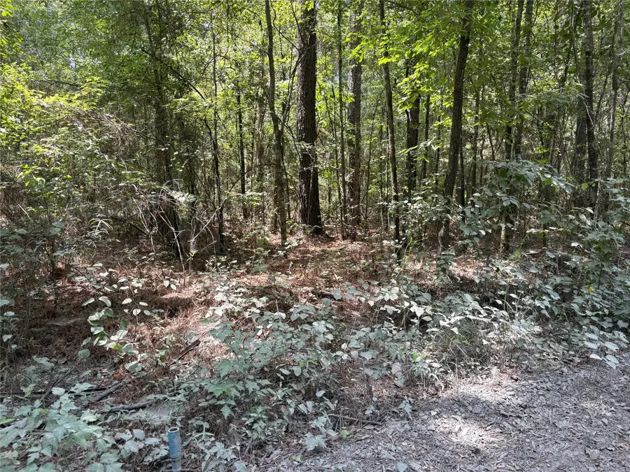 0 Moran Street, Haughton, LA 71037 - #3