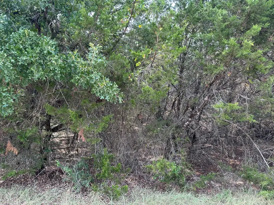 18034 & 18035 & 18036 S Southhill Drive, Whitney, TX 76692 - #2