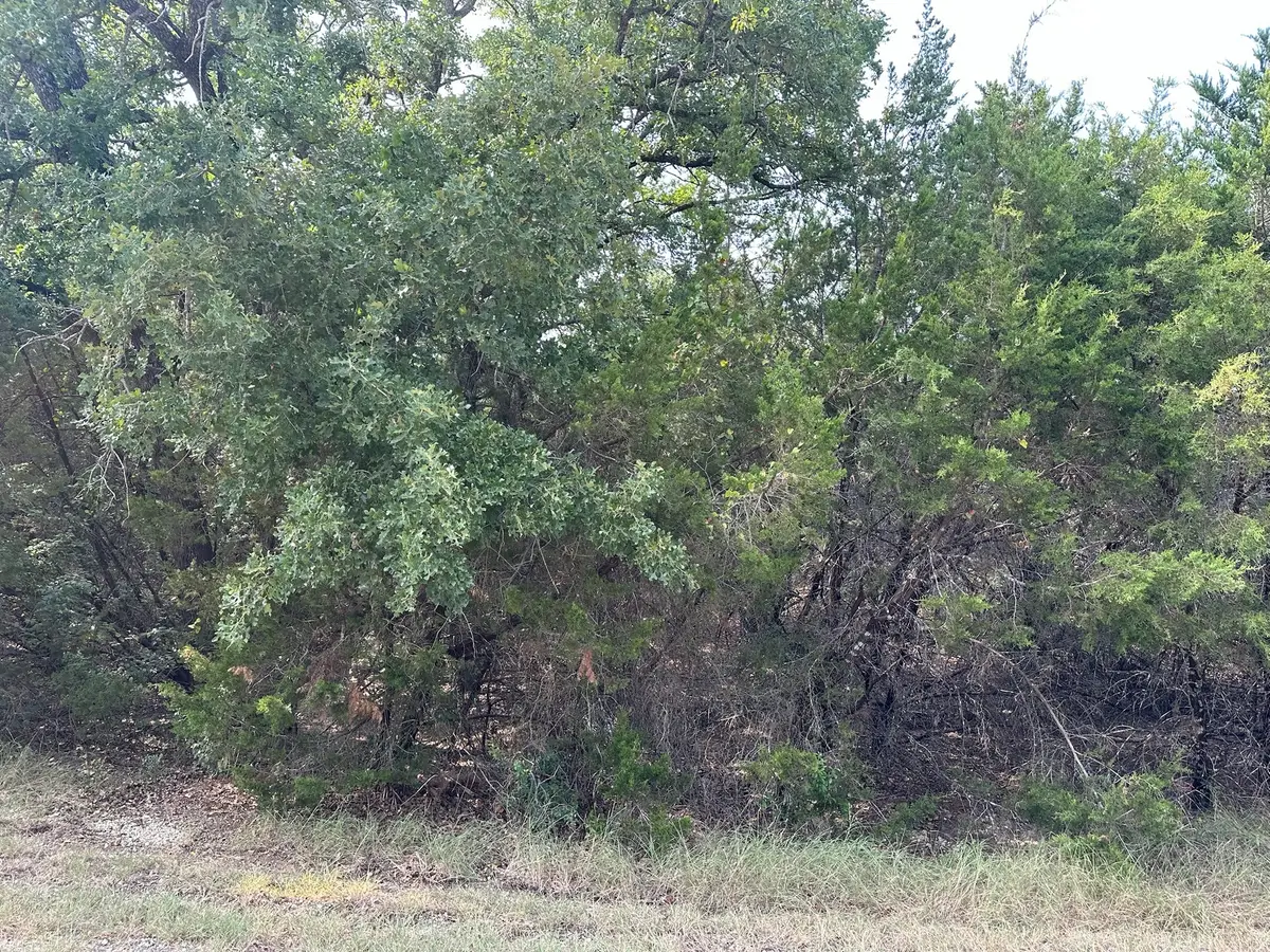 18038 & 18039 Southhill Drive, Whitney, TX 76692 - #1