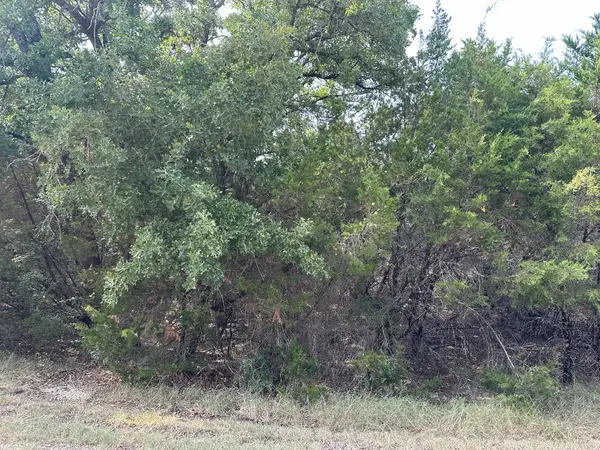 18038 & 18039 Southhill Drive, Whitney, TX 76692