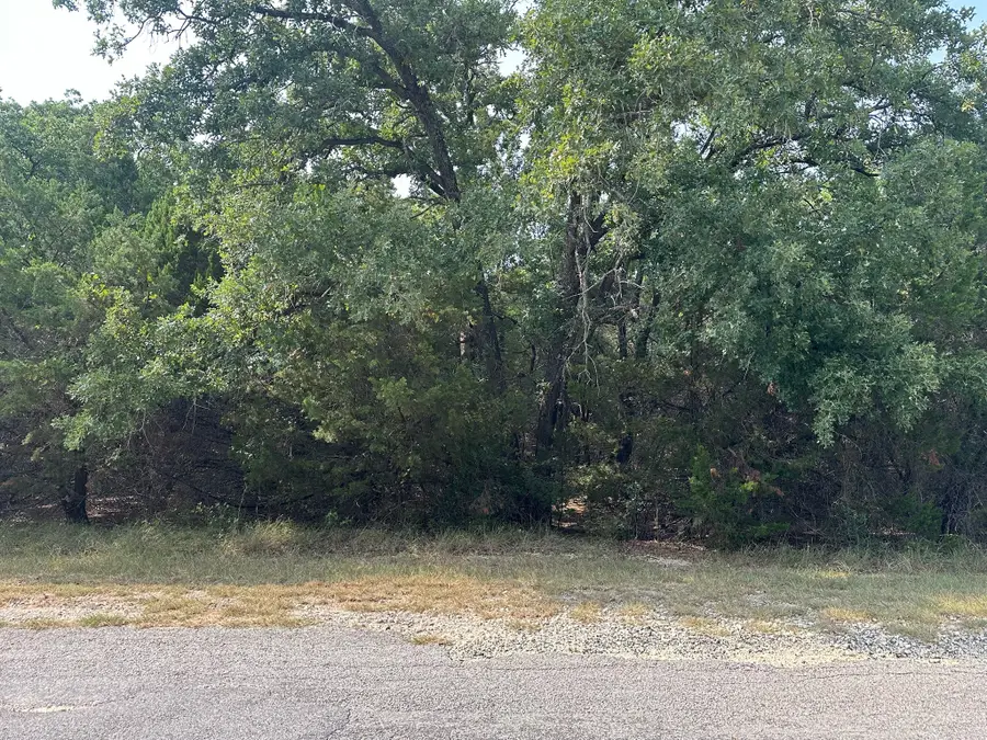 18038 & 18039 Southhill Drive, Whitney, TX 76692 - #3