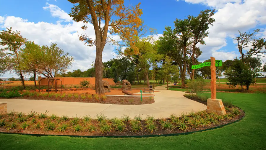 9712 Firebush Trail, McKinney, TX 75071 - #3