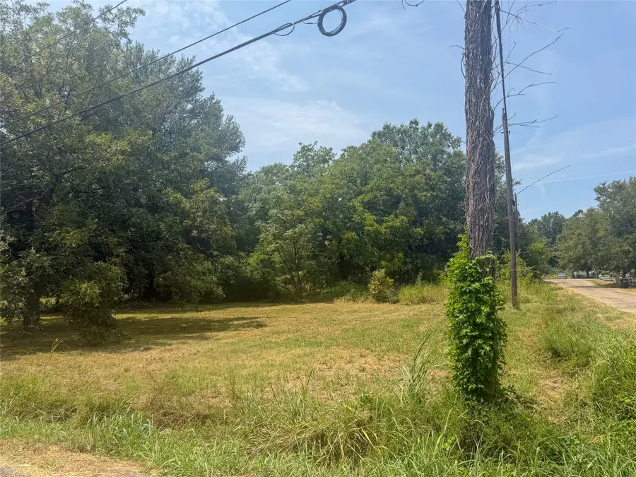 1015 Park, Paris, TX 75460 - #3