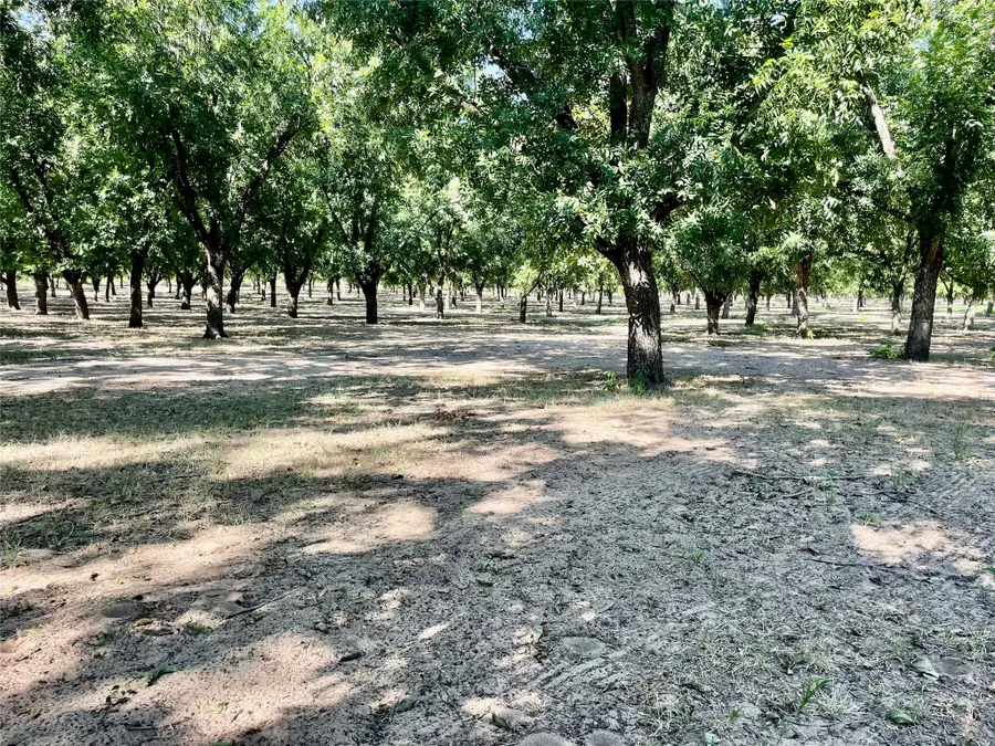 0000 Fm 1496, Dublin, TX 76446 - #2