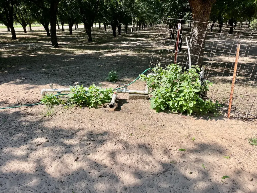 0000 Fm 1496, Dublin, TX 76446 - #3