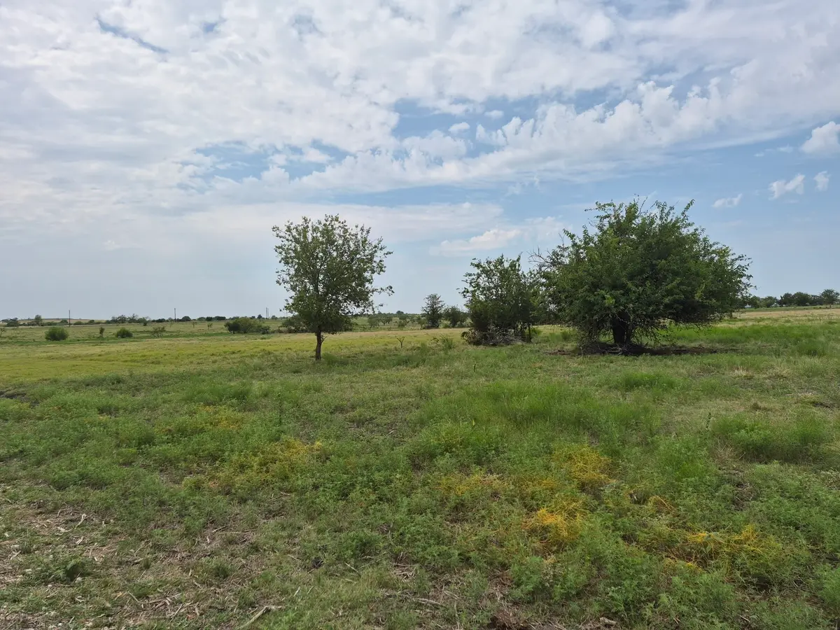 LOT 38 Pr 4311, Jonesboro, TX 76538 - #1